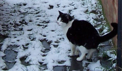 [Odo in the snow]